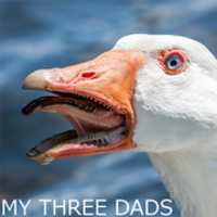 Free download Goose Cover free photo or picture to be edited with GIMP online image editor