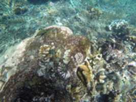 Free download GOPR 0151 free photo or picture to be edited with GIMP online image editor