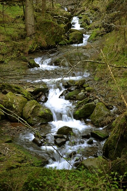 무료 다운로드 Gorge River Bach - 무료 사진 또는 GIMP 온라인 이미지 편집기로 편집할 사진