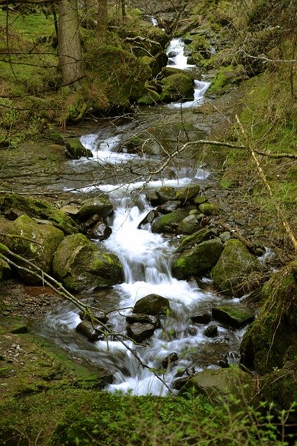 Free download Gorge River Bach -  free photo or picture to be edited with GIMP online image editor