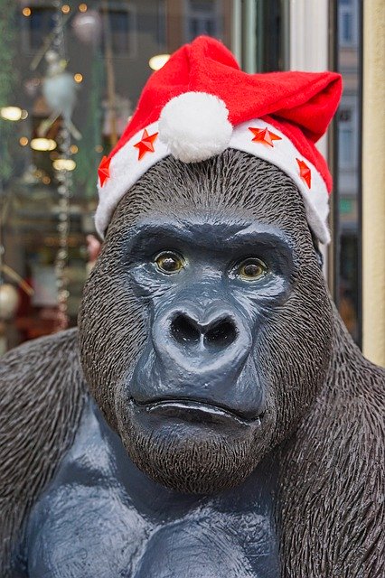 Free download Gorilla Decoration Santa Hat -  free free photo or picture to be edited with GIMP online image editor