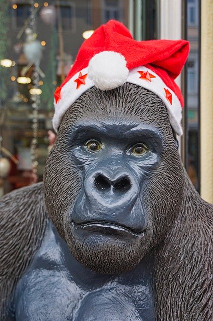 Unduh gratis Gorilla Decoration Santa Hat - foto atau gambar gratis untuk diedit dengan editor gambar online GIMP