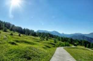 Free download gory-wm free photo or picture to be edited with GIMP online image editor