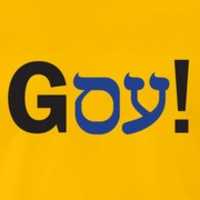 Free download goy free photo or picture to be edited with GIMP online image editor
