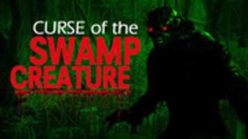 Free download GR 0103151049 800x 450 free photo or picture to be edited with GIMP online image editor