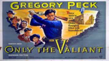 Free download GR 0105150538 800x 450 free photo or picture to be edited with GIMP online image editor