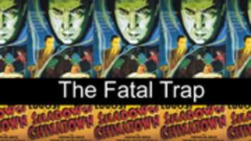 Free download GR 1125160737 800x 450 free photo or picture to be edited with GIMP online image editor