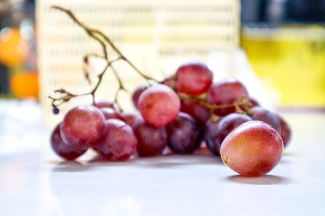 Téléchargement gratuit de Grape Facts Uncommon - photo ou image gratuite à éditer avec l'éditeur d'images en ligne GIMP