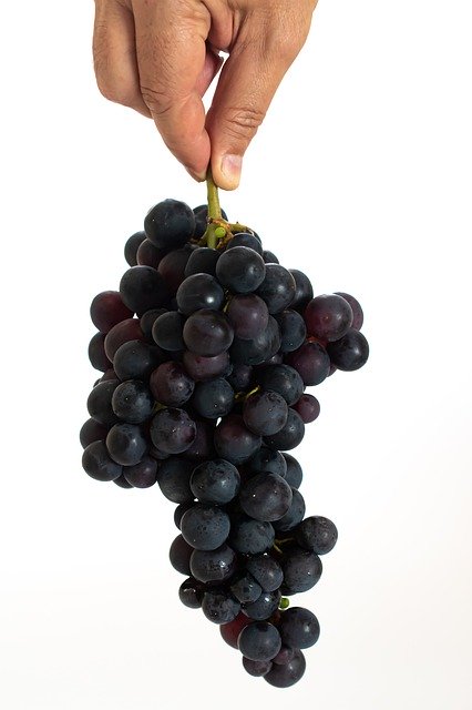 Free download Grape Fruit Food -  free photo or picture to be edited with GIMP online image editor