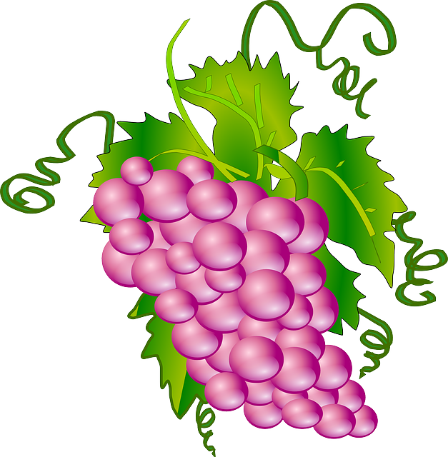 Free download Grapes Bunch Cluster - Free vector graphic on Pixabay free illustration to be edited with GIMP free online image editor