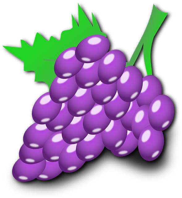 Free download Grapes Fruits Bunch - Free vector graphic on Pixabay free illustration to be edited with GIMP free online image editor