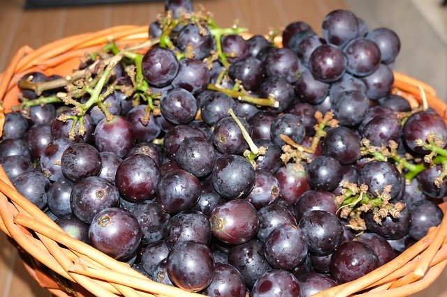 Free picture Grapes Fruits Wine -  to be edited by GIMP free image editor by OffiDocs