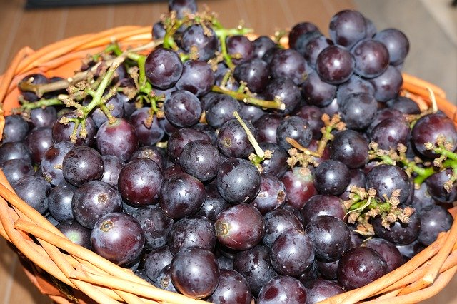 Free download Grapes Fruits Wine -  free photo or picture to be edited with GIMP online image editor