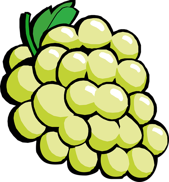 Free download Grapes Fruit Wine -  free illustration to be edited with GIMP free online image editor