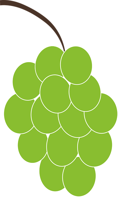 Free download Grapes Green Fruit - Free vector graphic on Pixabay free illustration to be edited with GIMP free online image editor