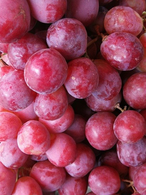 Free download Grapes Harvest Viticulture -  free photo or picture to be edited with GIMP online image editor