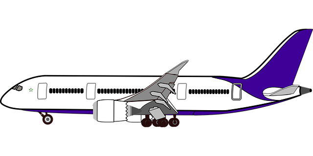 Free download Graphic Airplane TravelFree vector graphic on Pixabay free illustration to be edited with GIMP online image editor