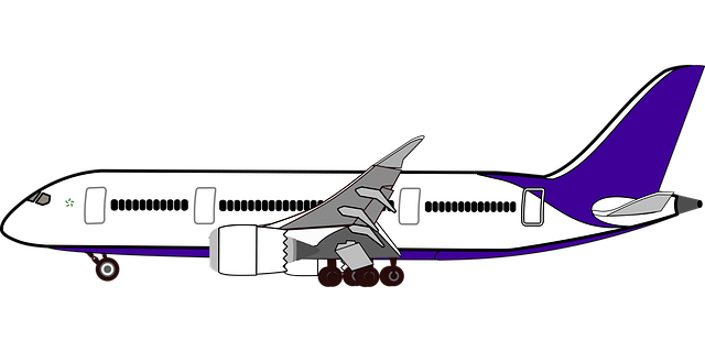 Kostenloser Download Grafik FlugzeugreiseKostenlose Vektorgrafik auf Pixabay, kostenlose Illustration zur Bearbeitung mit GIMP Online-Bildeditor