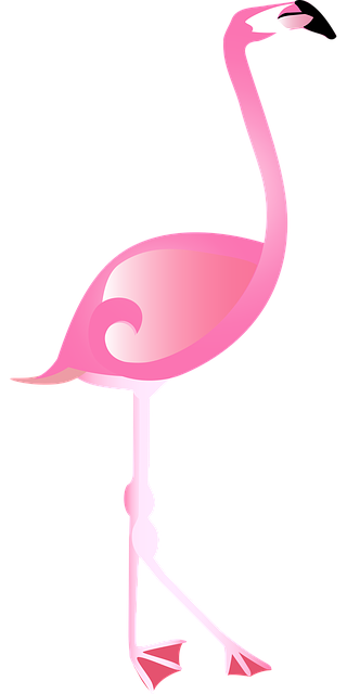 Free download Graphic Flamingo PinkFree vector graphic on Pixabay free illustration to be edited with GIMP online image editor