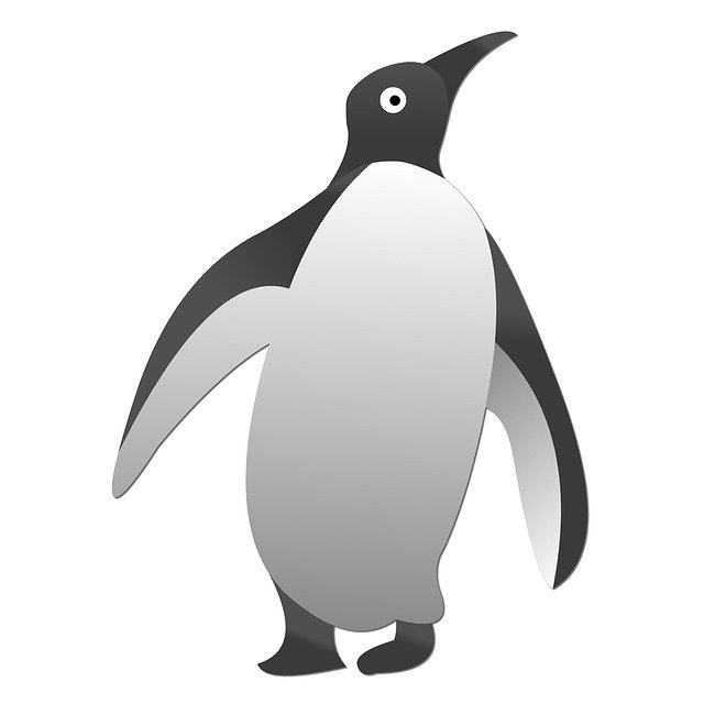 Free download Graphic Penguin Bird -  free illustration to be edited with GIMP free online image editor