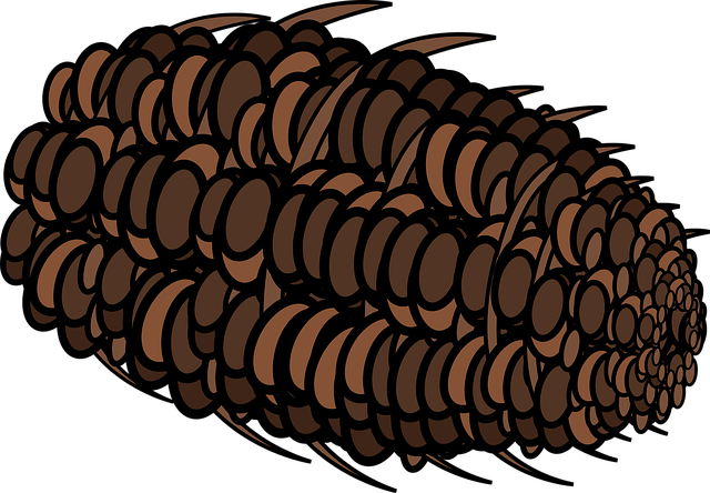 Free download Graphic Pine Cone - Free vector graphic on Pixabay free illustration to be edited with GIMP free online image editor