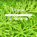 Grass And Dew  screen for extension Chrome web store in OffiDocs Chromium