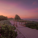 Grass and flowers along the river  screen for extension Chrome web store in OffiDocs Chromium