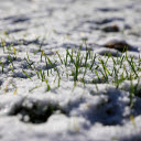 grass and snow  screen for extension Chrome web store in OffiDocs Chromium