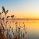 Grass and Sunset  screen for extension Chrome web store in OffiDocs Chromium