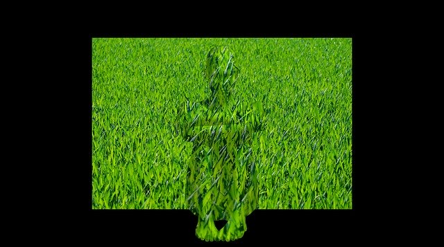 Free download Grass Digital Women -  free illustration to be edited with GIMP free online image editor