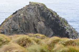 Free download Grasses and Rock on Cape Horn free photo or picture to be edited with GIMP online image editor