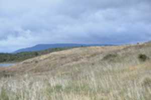 Free download Grasses on Harberton Estancia  free photo or picture to be edited with GIMP online image editor