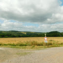 Grass fields and green trees  screen for extension Chrome web store in OffiDocs Chromium