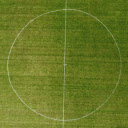 Grass football field and goal lines  screen for extension Chrome web store in OffiDocs Chromium