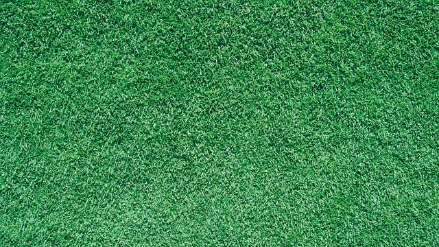 Descarga gratuita Fondo de tierra de hierba Imagen gratuita de hierba verde para editar con el editor de imágenes en línea gratuito GIMP