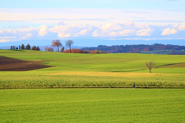 Kostenloser Download von Wiesenfeldern, Natur, Herbstsaison, kostenloses Bild, das mit dem kostenlosen Online-Bildeditor GIMP bearbeitet werden kann