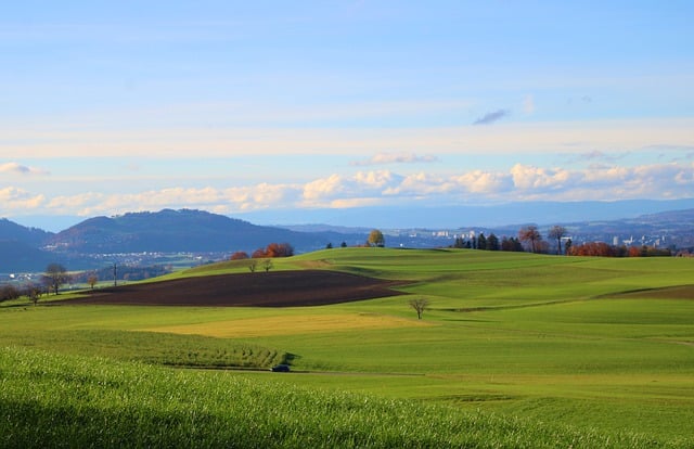 Free download grassland fields rural landscape free picture to be edited with GIMP free online image editor