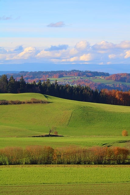 Scarica gratuitamente un'immagine gratuita di alberi di campi di prati da modificare con l'editor di immagini online gratuito GIMP