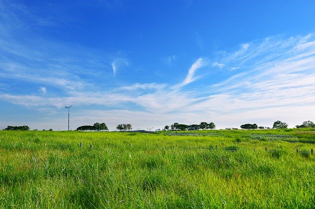 Free download grassland green grass meadow free picture to be edited with GIMP free online image editor