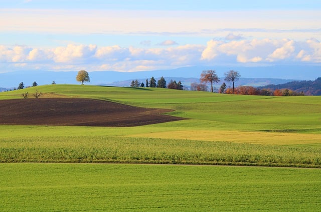 Free download grassland nature landscape field free picture to be edited with GIMP free online image editor