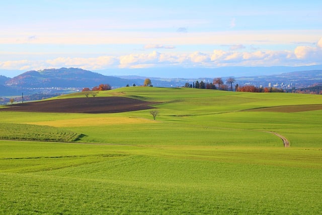 Free download grassland nature rural expanse free picture to be edited with GIMP free online image editor