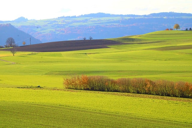 Free download grassland rural fields free picture to be edited with GIMP free online image editor