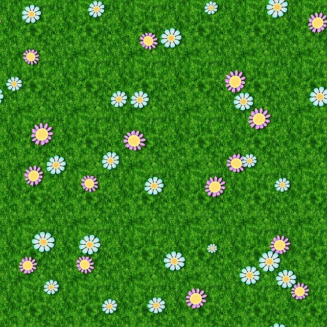Free download Grass Lawn Daisy -  free illustration to be edited with GIMP free online image editor