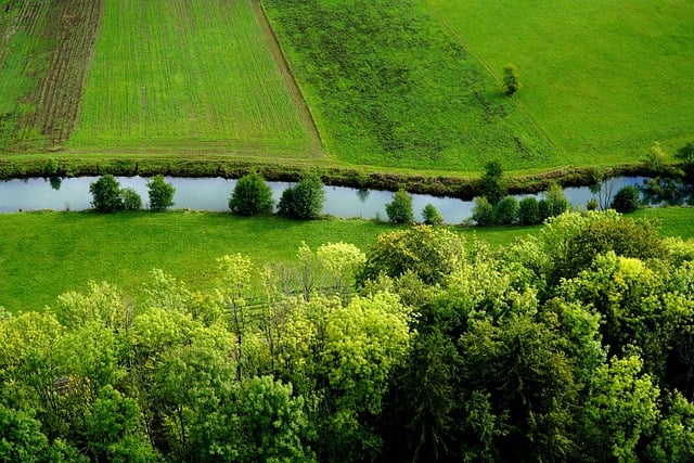 Free download grass meadow flow nature green free picture to be edited with GIMP free online image editor