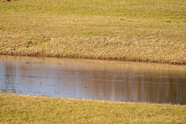 Free download grass meadow water flow nature free picture to be edited with GIMP free online image editor