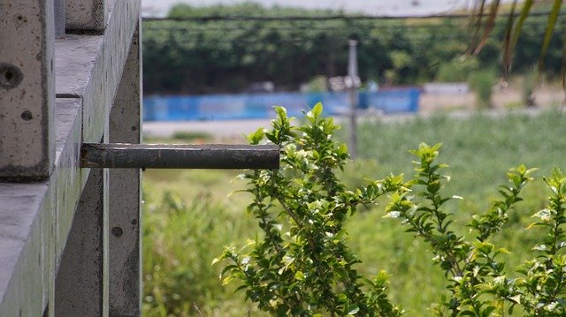 Téléchargement gratuit de Grass Natural Summer - photo ou image gratuite à éditer avec l'éditeur d'images en ligne GIMP