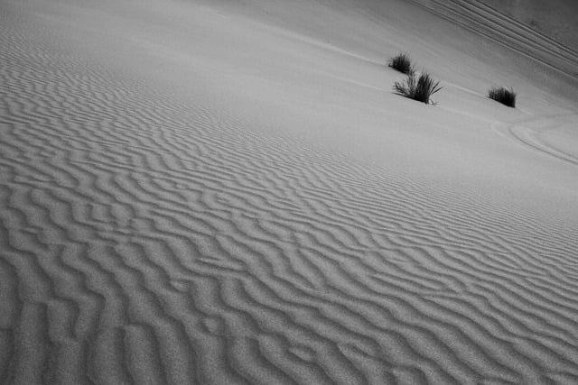 Free download grass nature landscape desert sand free picture to be edited with GIMP free online image editor