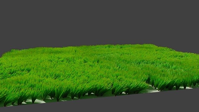 Free download Grass Panoramic Lawn -  free illustration to be edited with GIMP free online image editor
