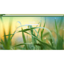 Grass raindrop  screen for extension Chrome web store in OffiDocs Chromium