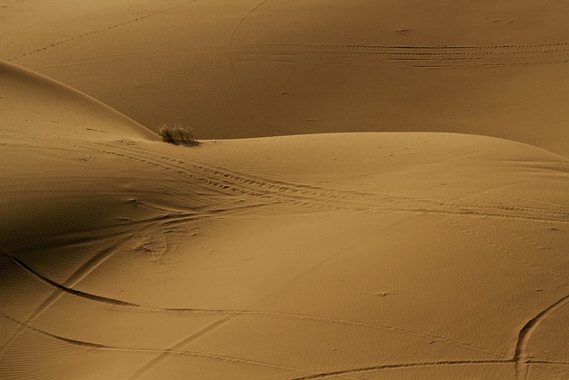 Free download grass shadow desert sand nature free picture to be edited with GIMP free online image editor